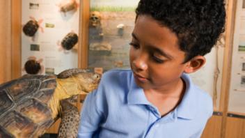 Building Background Knowledge