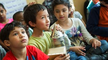 Accessing Students' Background Knowledge in the ELL Classroom