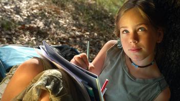 Making Inferences and Drawing Conclusions