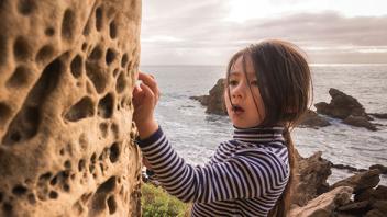 The Vocabulary of Science