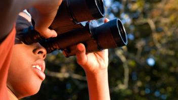 Reading Adventure Pack: Birds